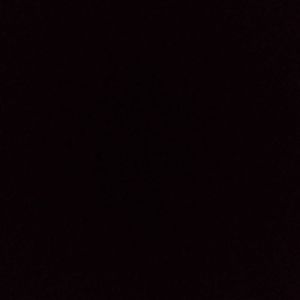 Meet your Posher, Phil